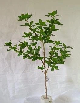 Plant 102cm